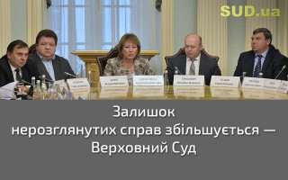 Залишок  нерозглянутих справ збільшується — Верховний Суд