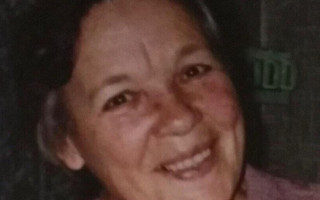 Под Киевом загадочно исчезла женщина, фото