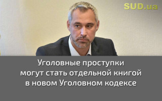 Уголовные проступки могут стать отдельной книгой в новом Уголовном кодексе