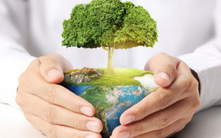 В Україні з’явиться Державний екологічний контроль: що відомо