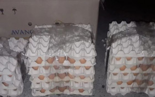 Ушли с яйцами: под Киевом произошло дерзкое ограбление