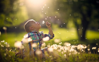 Весенние выходные: сколько будут отдыхать украинцы