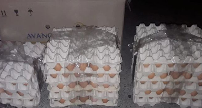 Ушли с яйцами: под Киевом произошло дерзкое ограбление