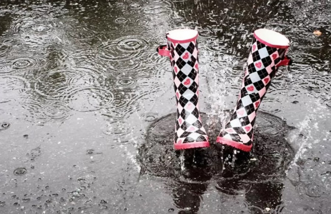 Грозы и мокрый снег: какая погода ждет украинцев в марте