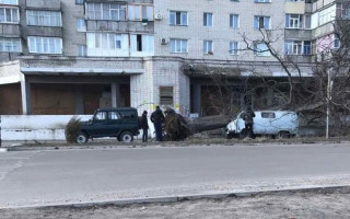 На Сумщині старе дерево розтрощило автівку: фото
