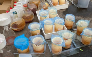 Понад 2 тонни наркотиків: правоохоронці викрили масштабну банду наркоторговців