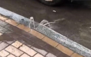 В центре Киева из-под тротуара бьет фонтан, видео