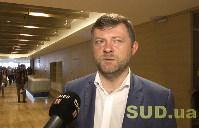 Комітет ВР підтримав відставку Уряду та доручив внести відповідну постанову на розгляд Ради