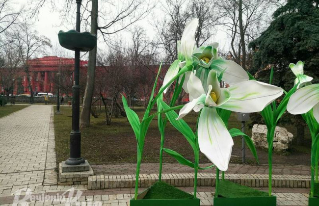 У Києві «виросли» гігантські підсніжники: фото