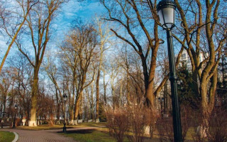 Моторошна знахідка: біля Верховної Ради виявили людські кістки