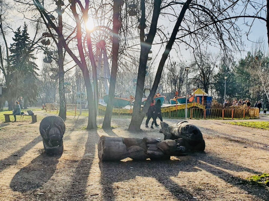 В Запорожье 10-летнюю девочку убила деревянная скульптура