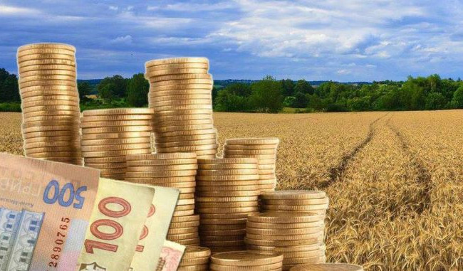 Доходи українців від земельних ділянок хочуть оподатковувати: з’явився законопроект