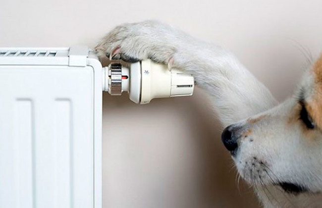 На столицу надвигается холод: стало известно, почему не отключают батареи