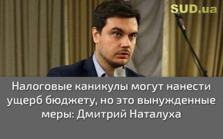 Налоговые каникулы могут нанести ущерб бюджету, но это вынужденные меры: Дмитрий Наталуха