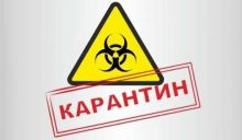В Україні дослідили 500 підозр на коронавірус: інфографіка