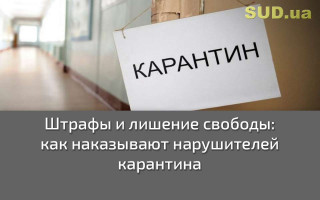 Штрафы и лишение свободы: как наказывают нарушителей карантина
