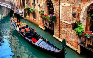 Карантин на пользу: в Венецию вернулись лебеди, а вода стала чище, фото и видео