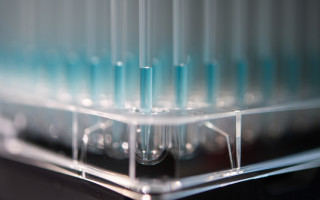 Статистика коронавируса: зараженных больше 300 тысяч