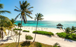 Николаевцы, застрявшие в Доминикане, просят Зеленского прислать за ними личный самолет