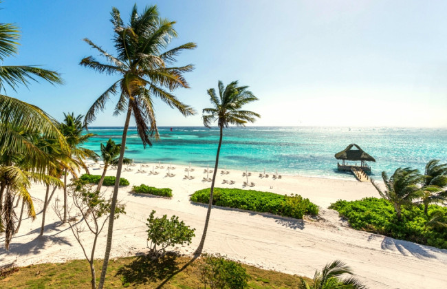 Николаевцы, застрявшие в Доминикане, просят Зеленского прислать за ними личный самолет