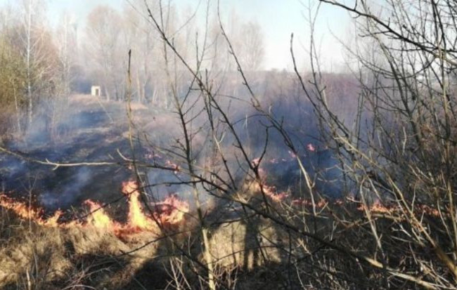В Киеве вспыхнул масштабный пожар: есть видео