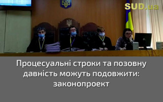 Процесуальні строки та позовну давність можуть подовжити: законопроект