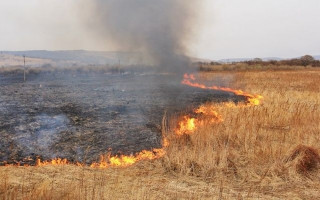 Массовые пожары в Киевской области: спасатели тушат сухую траву, фото, видео