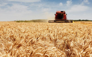 Фінансову підтримку сільгосптоваровиробників планують урізати – нардеп