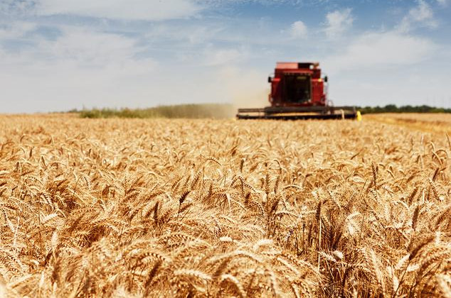 Фінансову підтримку сільгосптоваровиробників планують урізати – нардеп