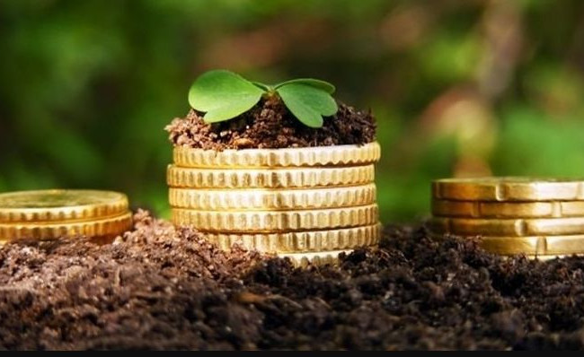 Плата за землю під час карантину: що потрібно знати