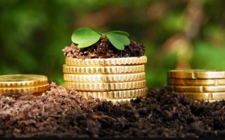 Плата за землю під час карантину: що потрібно знати