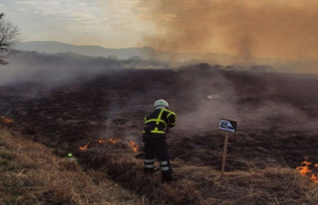 На Закарпатье пожарные спасли знаменитую Долину нарциссов: фото, видео