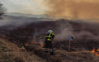 На Закарпатье пожарные спасли знаменитую Долину нарциссов: фото, видео