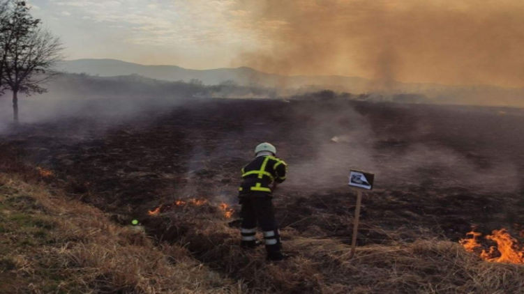 На Закарпатье пожарные спасли знаменитую Долину нарциссов: фото, видео