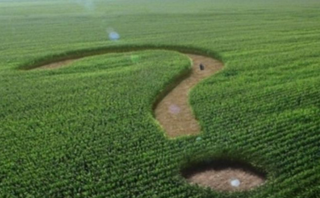 У Раді зареєстрували 11 проектів постанов щодо скасування відкриття ринку землі