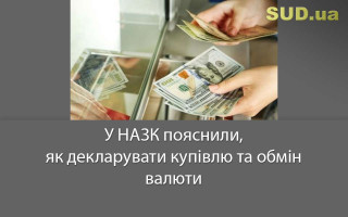 У НАЗК пояснили, як декларувати купівлю та обмін валюти