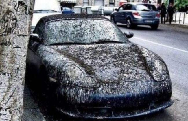 Как хранить свой автомобиль во время карантина