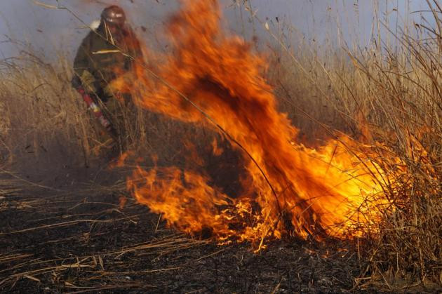 Харьковскую область поглотили сезонные пожары
