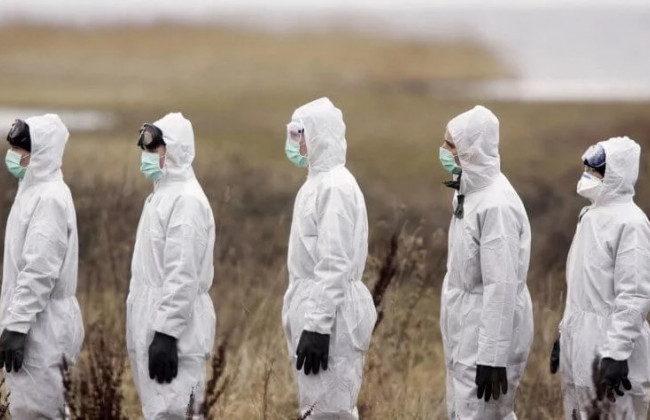 Пандемии в истории человечества: какие болезни поразили весь мир