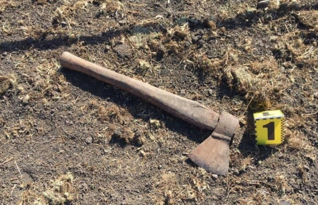 Под Киевом горе-сын зарубил топором родную мать