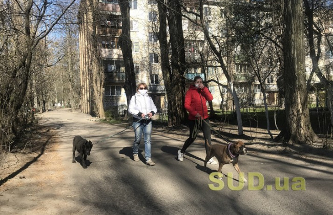 У КМДА роз’яснили, що розуміють під «громадським місцем»