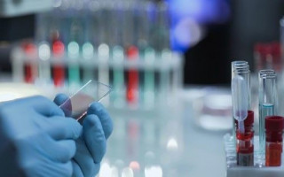 Феномен Миколаївської області: чому там немає коронавірусу