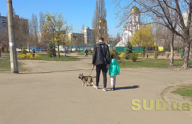 В Минздраве пояснили, почему с собаками в парк можно, а с детьми нельзя