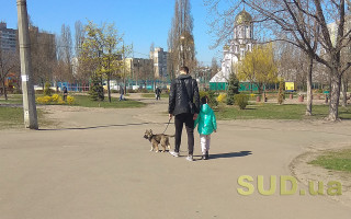 В Минздраве пояснили, почему с собаками в парк можно, а с детьми нельзя