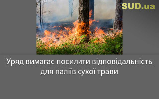 Уряд вимагає посилити відповідальність для паліїв сухої трави
