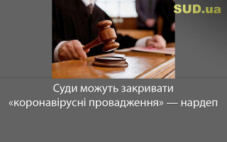 Суди можуть закривати «коронавірусні провадження» — нардеп