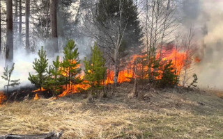 Потужні пожежі на Київщині: в Раді зареєстрували законопроєкт, який пропонує серйозні штрафи за підпали