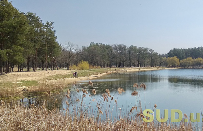 Постанова КМУ не обмежує прогулянки в лісі — нардеп