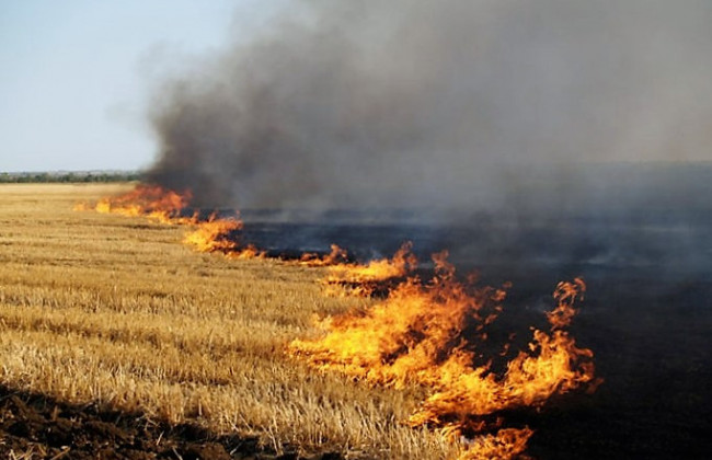 Штрафи за випалювання сухої трави підвищаться у кілька разів: законопроект Мін’юсту