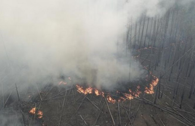 Масштабні пожежі у Чорнобильській зоні: куди йде забруднена хмара